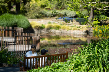 family exploring nature and a mother daughter in botanical garden playing