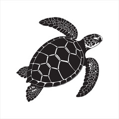 sea turtle vector