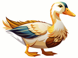 vector of  Domestic duck isolated on white background