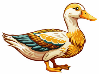vector of  Domestic duck isolated on white background