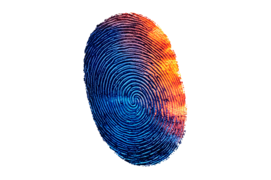 Colorful fingerprint design showcasing pattern isolated on transparent background