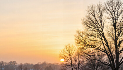 Obraz premium Silhouetted trees at sunset against a pale sky, serene tranquility