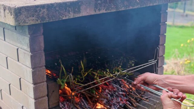 Calcots grilling over a wood fire, a traditional catalan delicacy