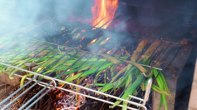 Calcots, a catalan delicacy, grilling over an open fire