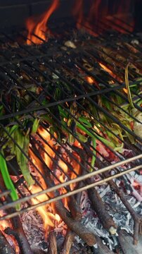 Grilling cal&ccedil;ots, a catalan culinary tradition in slow motion