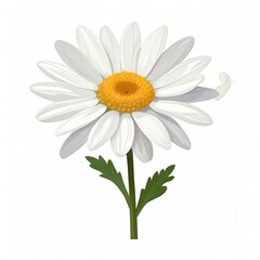 Fototapeta premium an AI Image Generator, Close-Up of a White Daisy Flower with Yellow Center