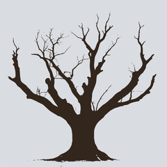 Bare Tree with Branches Against Clear Sky

