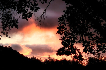 Sonnenuntergang - Krüger Park - Südafrika / Sundown - Kruger Park - South Africa /