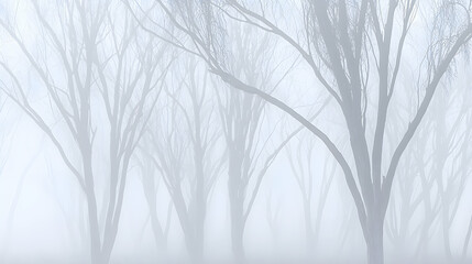 Foggy winter trees in a misty forest, serene nature scene, ideal for background
