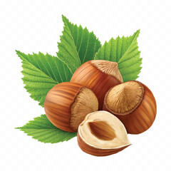 abstract 3d hazelnuts with leaves isolated on white background