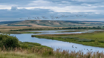 Birds migrating over a river valley, farmland background; nature conservation