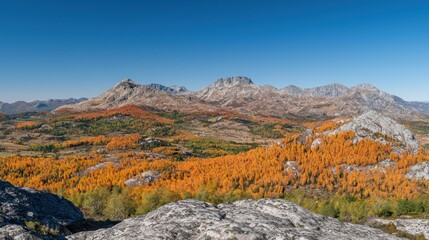 Autumnal mountain vista from rocky outcrop