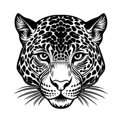 Obraz premium Jaguar head