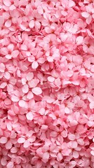 Fototapeta premium Lush carpet of pink cherry blossom flowers creating a beautiful spring scene full of color and natural beauty