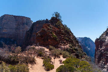 Angels Landing trail in Zion National Park, Utah