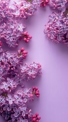 Fototapeta premium spring, summer background, copi space, banner, flyer. Elegant Lilac Flowers on Pastel Background – Mobile Design