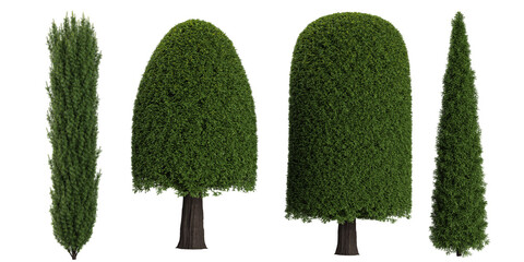 3d illustration of topiary trees on transparent background