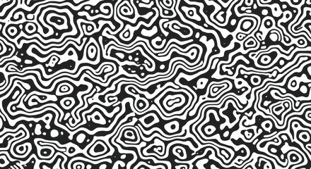 Abstract patterns, black and white, organic swirls, psychedelic design, topographic map, maze-like structure, optical illusion, fluid lines, intricate details, biomorphic shapes, hypnotic curves, cont