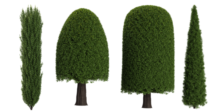 3d illustration of topiary trees on transparent background