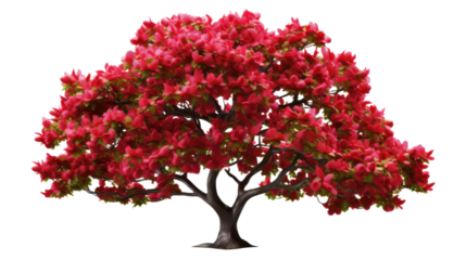 3D Hawthorn Tree Variant Isolated on Transparent Background, PNG