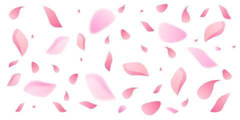 Spring sakura petals flying background. Blossom botanical vector illustration on white backdrop. Cute pastel design