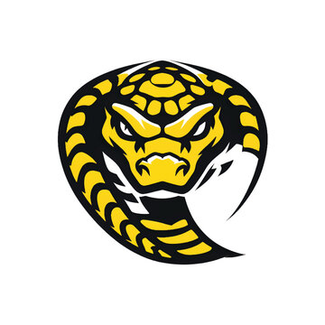 Snake logo. Snake head. Snake Head logo on white background. Vector illustration.