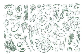 Hand drawn fruits and vegetables set. Collection of vegan food sketch illustrations