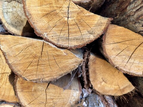 Stacked Firewood Close-Up. A detailed close-up of freshly cut firewood stacked neatly. The logs showcase natural wood grain, cracks, and rough bark texture.