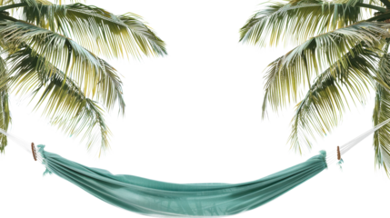 Empty hammock hanging between two palm trees on transparent background