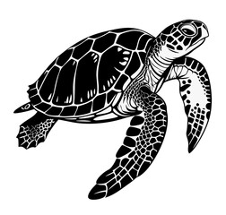 Fototapeta premium A black and white vector illustration of a turtle