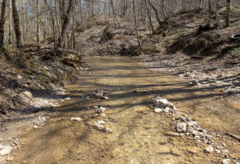 the sources of the river-morning walks along the riverbed with a view of the structure of the banks on a spring morning