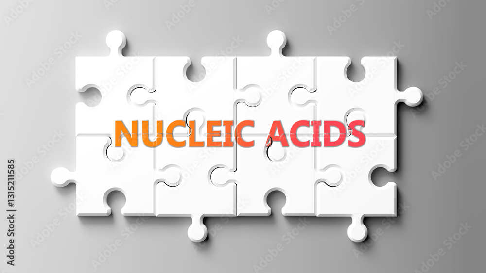 Poster nucleic acids complex like a puzzle - pictured as word nucleic acids on a puzzle pieces to show that