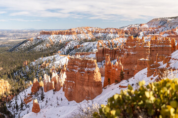 Pine trees scattered amongst red rock and pockets of snow in Bryce Canyon National Park 