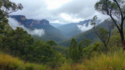 Green forest valley view. Mountains covered with white clouds and lush green trees. Scenic landscape with cloudy sky. Natural peaceful scene.