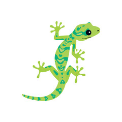 lizard animal gecko cute salamander vector illustration symbol icon