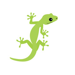lizard animal gecko cute salamander vector illustration symbol icon