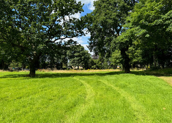 Sunlight filters through the lush green canopy on an expansive grass field. The serene landscape features towering trees leading into a dense forest, with a clear blue sky above in, Gomersal, UK
