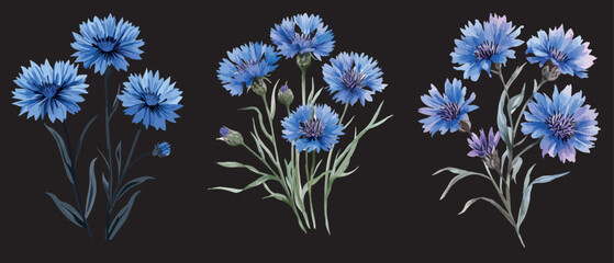 Obraz premium set of hand-drawn cute cornflowers