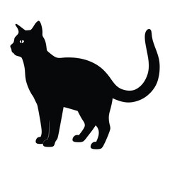 black cat on white silhouette with white background
