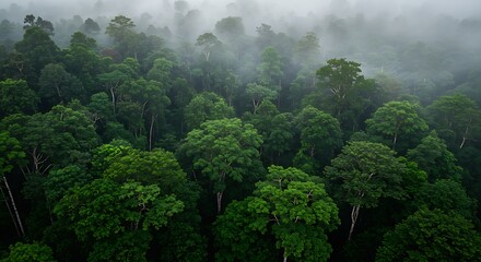 Organic Olive Green Gradient Canvas with Natural Noise Texture Ideal for Eco-Friendly
