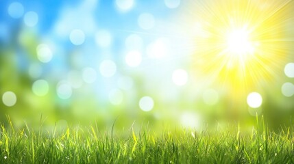 Obraz premium Sunny spring grass bokeh background, nature scene