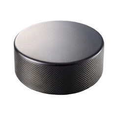 ice hockey puck