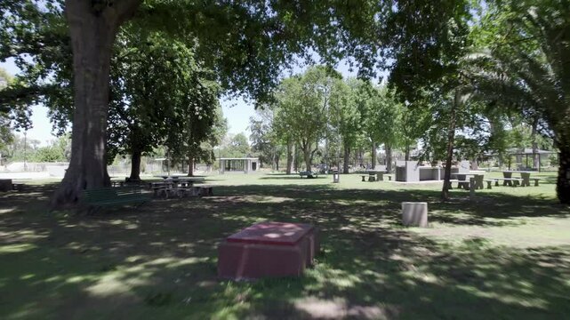 D&iacute;a de parque, parque, asado.