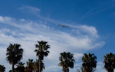 airplane in the sky