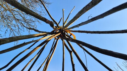 hazelnut sticks for a tipi © TwilightArtPictures