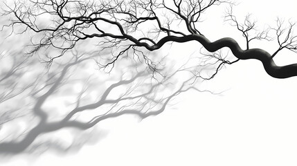 Realistic tree branches shadow blur isolate on transparent backgrounds 3d render. Shadowed - Alley. Illustration