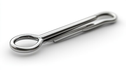 Close-up of a metallic clasp, on a plain white background