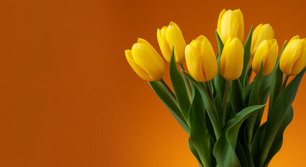 Vibrant yellow tulips in a minimalist floral arrangement against a warm orange background.