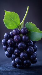 Juicy Black Currants: Nature's Dark Delight