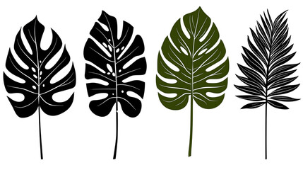 Png Tropical Leaf Illustrations Monstera, Palm, Outline, Green isolated on transparent background 